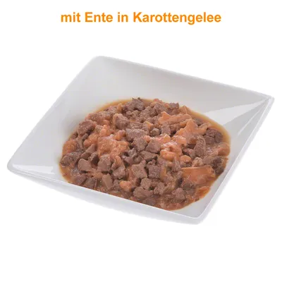 Stukjes natvoer met eend in wortelgelei, geserveerd in een wit vierkant schaaltje. Tekst bovenaan: mit Ente in Karottengelee (Duits).