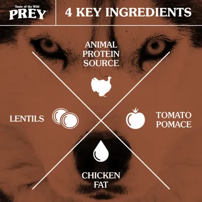 Taste of the Wild PREY. 4 KEY INGREDIENTS: ANIMAL PROTEIN SOURCE, LENTILS, TOMATO POMACE, CHICKEN FAT. Teksti englanniksi.
