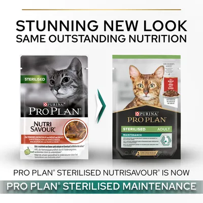 Purina Pro Plan Sterilised Nutrisavour cat food old and new packaging. Text: Stunning new look, same outstanding nutrition. Pro Plan Sterilised Nutrisavour is now Pro Plan Sterilised Maintenance.