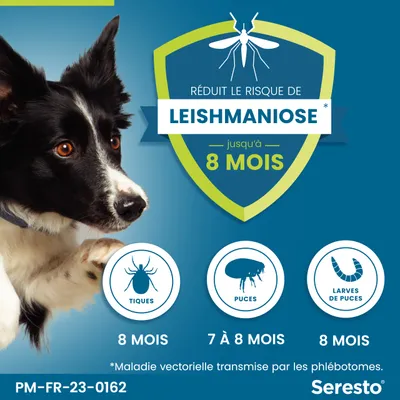 Seresto. Réduit le risque de leishmaniose jusqu’à 8 mois. Protection tiques 8 mois, puces 7 à 8 mois, larves de puces 8 mois. Maladie vectorielle transmise par les phlébotomes.