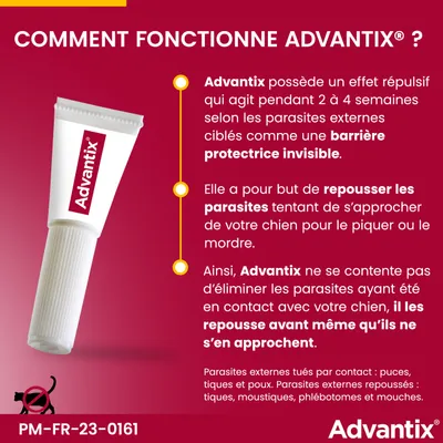 Advantix® grand chien, de 25 kg à 40 kg