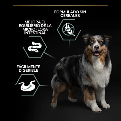 Perro junto a textos: 'Formulado sin cereales', 'Mejora el equilibrio de la microflora intestinal', 'Fácilmente digerible', con iconos relacionados.