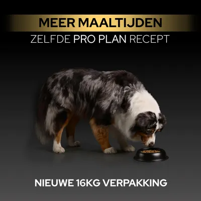Meer maaltijden, zelfs Pro Plan recept. Nieuwe verpakking, 16 kg. Hond eet uit de voerbak.