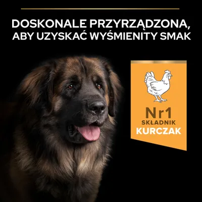 Perfekcyjnie przygotowane dla doskonałego smaku. Nr 1 składnik: kurczak. Obraz psa i grafika kurczaka. Perfekcyjnie przygotowane dla doskonałego smaku. Nr 1 składnik: kurczak. Obraz psa i grafika kurczaka.