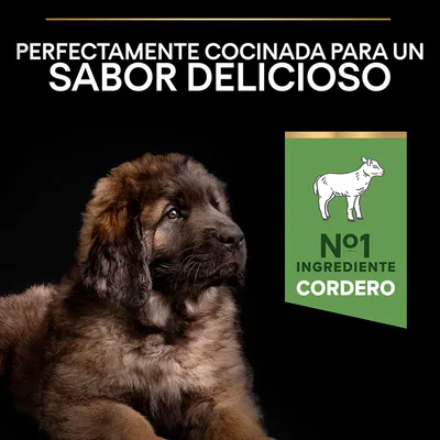Texto: Perfectamente cocinada para un sabor delicioso. Nº1 ingrediente cordero. Imagen de un cachorro marrón junto a icono de cordero sobre fondo negro.