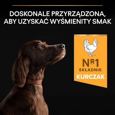 Tekst: Doskonale przyrządzona, aby uzyskać wyśmienity smak. Nr 1 składnik kurczak. Ilustracja psa i kurczaka na żółtym tle.