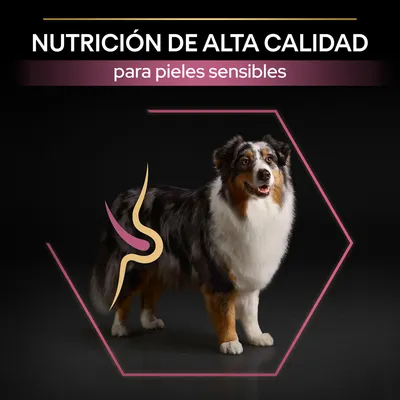 Texto: NUTRICIÓN DE ALTA CALIDAD para pieles sensibles. Imagen de perro con gráfico decorativo sobre el cuerpo, fondo negro y hexágono rosa.