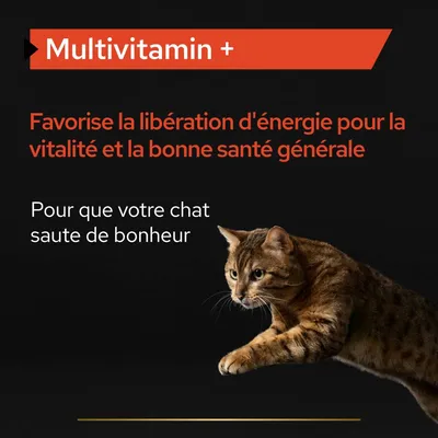 Multivitamin + Favorise la libération d’énergie pour la vitalité et la bonne santé générale. Pour que votre chat saute de bonheur.