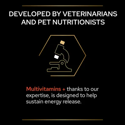 Developed by veterinarians and pet nutritionists. Multivitamins + thanks to our expertise, is designed to help sustain energy release.