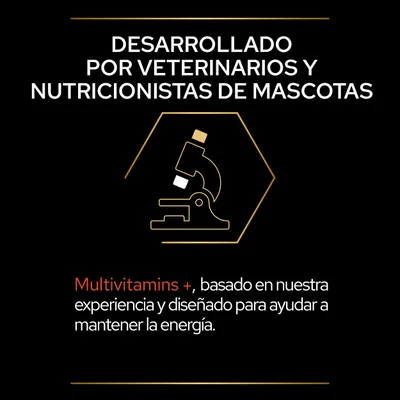 Desarrollado por veterinarios y nutricionistas de mascotas. Multivitamins +, basado en nuestra experiencia y diseñado para ayudar a mantener la energía.
