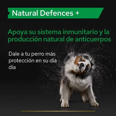 Natural Defences +. Apoya su sistema inmunitario y la producción natural de anticuerpos. Dale a tu perro más protección en su día a día.