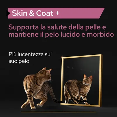 Skin & Coat +. Supporta la salute della pelle e mantiene il pelo lucido e morbido. Più lucentezza sul suo pelo.