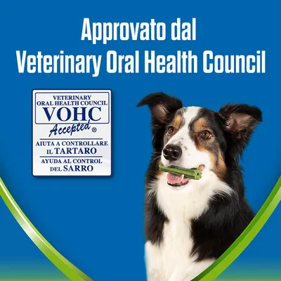 Approvato dal Veterinary Oral Health Council. VOHC Accepted. Aiuta a controllare il tartaro. Cane con snack verde in bocca su sfondo blu.