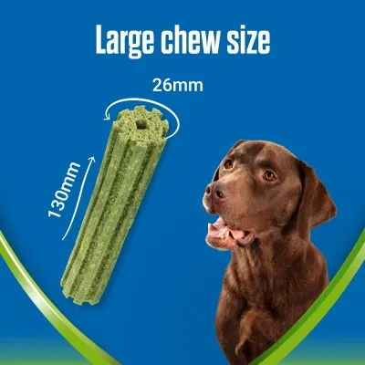 Large chew size, 130 mm length and 26 mm width shown beside a brown dog. Text: Large chew size.
