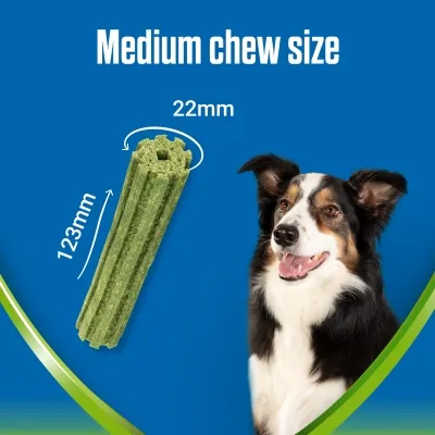 Medium chew size shown with dimensions: 123mm length and 22mm width.