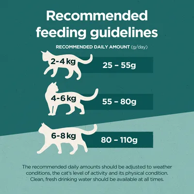 Upute za hranjenje mačaka prema težini: 2–4 kg dnevno 25–55 g, 4–6 kg 55–80 g, 6–8 kg 80–110 g. Tekst na engleskom jeziku.