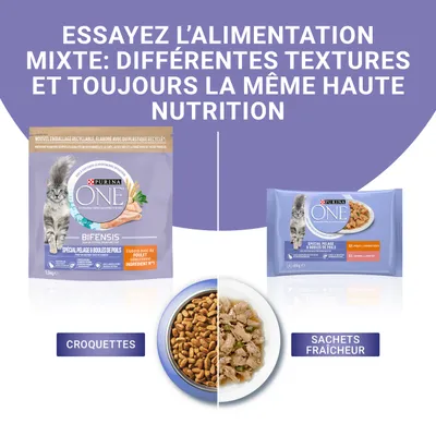 Text în franceză: Essayez l’alimentation mixte: différentes textures et toujours la même haute nutrition. Pungi și pachete Purina ONE Bifensis, crochete și hrană umedă pentru pisici.