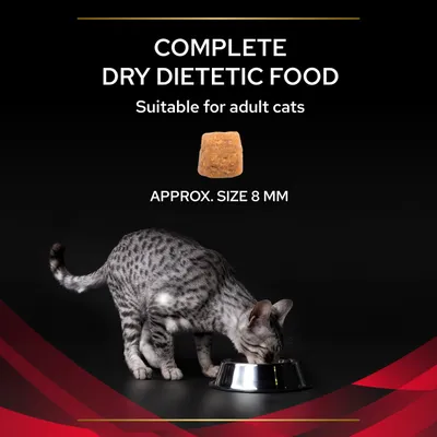 COMPLETE DRY DIETETIC FOOD, Suitable for adult cats, kibble approx. size 8 mm, grey spotted cat eating from metal bowl