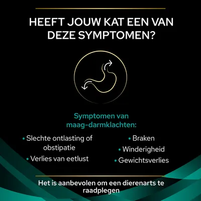 Heeft jouw kat een van deze symptomen? Symptomen van maag-darmklachten: slechte ontlasting of obstipatie, verlies van eetlust, braken, winderigheid, gewichtsverlies. Raadpleeg dierenarts.