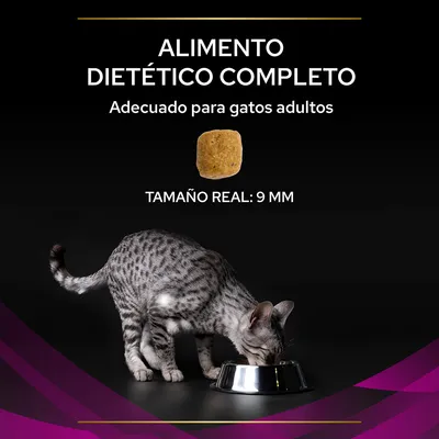 Alimento dietético completo adecuado para gatos adultos, croqueta de 9 mm de tamaño real y gato gris comiendo en un cuenco metálico.