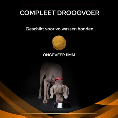 COMPLEET DROOGVOER, geschikt voor volwassen honden, brokjes ongeveer 11 mm. Afbeelding van een hond etend uit een metalen bak.