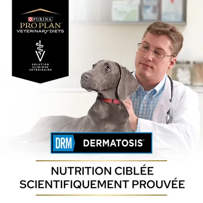 Purina Pro Plan Veterinary Diets, Solution Clinique Vétérinaire, DRM Dermatosis, Nutrition ciblée scientifiquement prouvée, chien avec vétérinaire en blouse blanche.