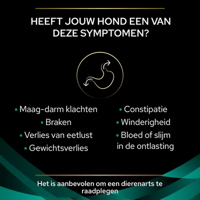 Heeft jouw hond een van deze symptomen? Maag-darm klachten, braken, verlies van eetlust, gewichtsverlies, constipatie, winderigheid, bloed of slijm in de ontlasting. Raadpleeg dierenarts.