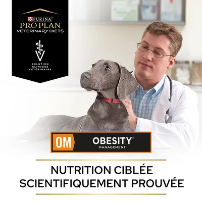 Purina Pro Plan Veterinary Diets, Solution clinique vétérinaire, OM Obesity Management, Nutrition ciblée scientifiquement prouvée, chien avec collier rouge et vétérinaire en blouse blanche.