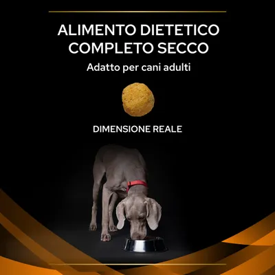 Testo: ALIMENTO DIETETICO COMPLETO SECCO, Adatto per cani adulti, DIMENSIONE REALE. Crocchetta singola e cane adulto grigio con collare rosso che mangia da una ciotola metallica.