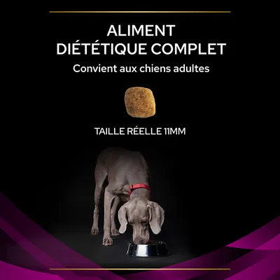Aliment diététique complet, convient aux chiens adultes. Taille réelle de la croquette : 11 mm. Chien adulte gris avec collier rouge mangeant dans une gamelle métallique.