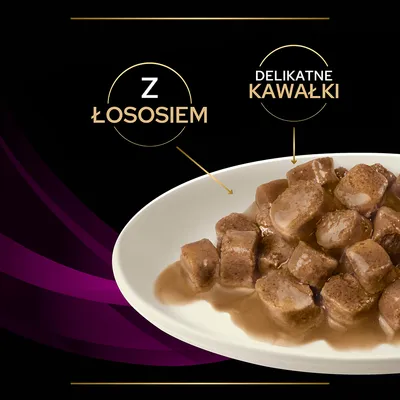 Mokra karma w sosie na talerzu, widoczny tekst: Z łososiem, delikatne kawałki.