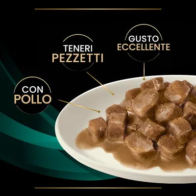 Ciotola con bocconcini in salsa. Testi visibili: 'CON POLLO', 'TENERI PEZZETTI', 'GUSTO ECCELLENTE'.