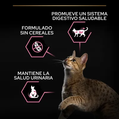 Promueve un sistema digestivo saludable, formulado sin cereales, mantiene la salud urinaria. Imagen de un gato y tres iconos explicativos con estos textos.