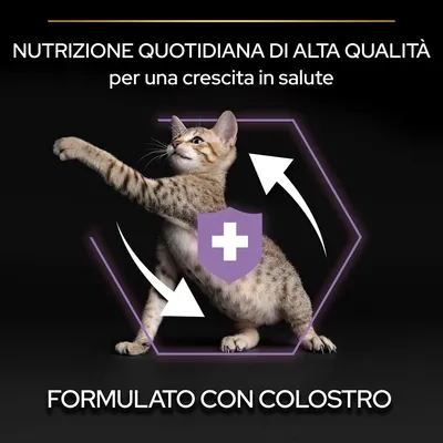 Nutrizione quotidiana di alta qualità per una crescita in salute. Formulato con colostro. Immagine di un gatto con scudo viola e simbolo medico.
