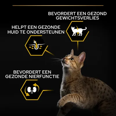Bevordert een gezond gewichtsverlies, helpt een gezonde huid te ondersteunen, bevordert een gezonde nierfunctie. Afbeelding van een kat met drie bijbehorende pictogrammen.