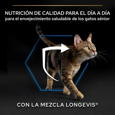 Nutrición de calidad para el día a día para el envejecimiento saludable de los gatos sénior. Con la mezcla Longevis®.