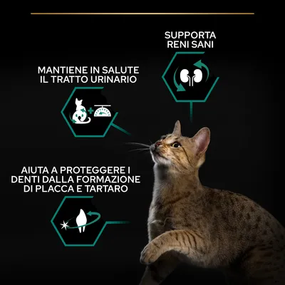 Mantiene in salute il tratto urinario, supporta reni sani, aiuta a proteggere i denti dalla formazione di placca e tartaro. Testo in italiano su immagine con gatto.