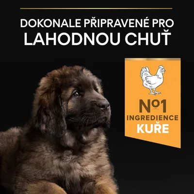 Text v češtine: Dokonale připravené pro lahodnou chuť. Nº1 ingredience kuře. Obrázok psa a kura. Text nie je v slovenčine.