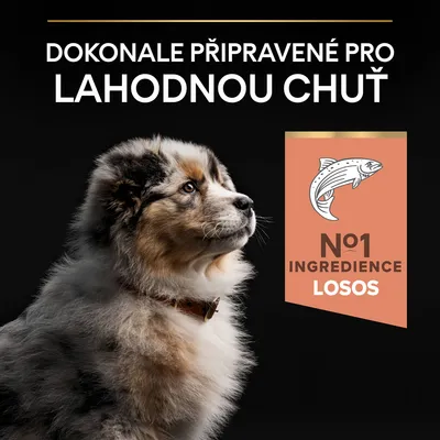 Text: Dokonale připravené pro lahodnou chuť. N°1 ingredience losos. Obrázok psa a ilustrácia lososa.