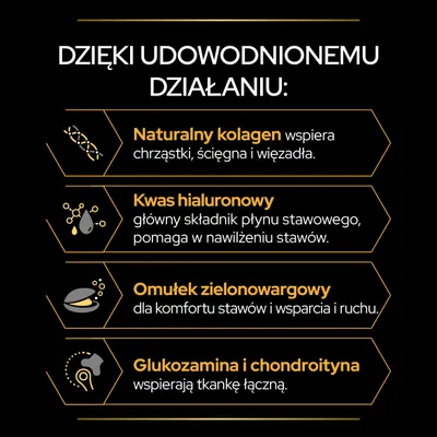 Dzięki udowodnionemu działaniu: naturalny kolagen, kwas hialuronowy, omułek zielonowargowy, glukozamina i chondroityna – wsparcie chrząstek, stawów i tkanki łącznej.