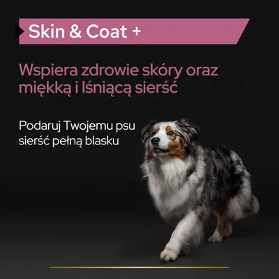 Skin & Coat +. Wspiera zdrowie skóry oraz miękką i lśniącą sierść. Podaruj Twojemu psu sierść pełną blasku.