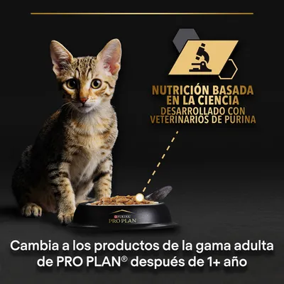 Gato junto a cuenco de comida Purina Pro Plan. Texto: Nutrición basada en la ciencia, desarrollado con veterinarios de Purina. Cambia a productos adultos de PRO PLAN después de 1+ año.
