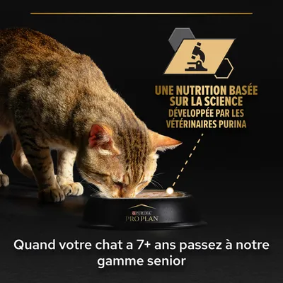 Chat mangeant dans une gamelle Purina Pro Plan. Texte : Une nutrition basée sur la science développée par les vétérinaires Purina. Quand votre chat a 7+ ans passez à notre gamme senior.