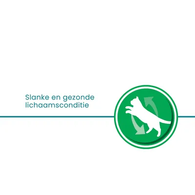 Tekst: Slanke en gezonde lichaamsconditie. Groen pictogram met springende kat en pijlen.