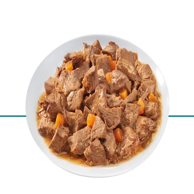 Miska s kousky masa a oranžovými kostičkami v omáčce, detailní pohled na konzistenci krmiva.