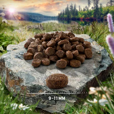 Pile of round brown kibble pieces on a rock with one piece in front showing size measurement of 9 to 11 millimetres.