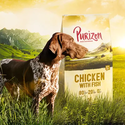 Opakowanie Purizon Chicken with Fish, widoczne napisy: 80 % – 20 % – 0 %, pies stojący obok na tle górskiej łąki. Marka i składniki podane na opakowaniu.
