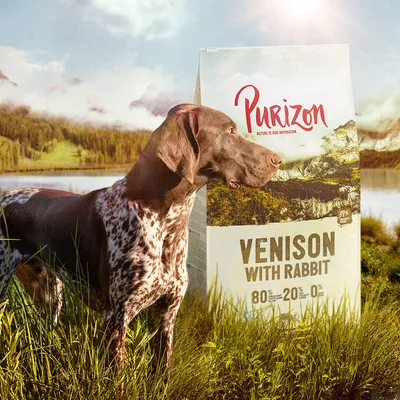 Cane accanto a confezione di cibo Purizon Venison with Rabbit, testo visibile: 80% 20% 0%, paesaggio naturale sullo sfondo della confezione.