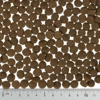 Ruskeita kuivaruokanappuloita, joiden halkaisija noin 1 cm. Alareunassa mitta-asteikko senttimetreinä näyttää nappuloiden koon.