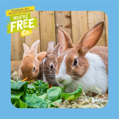 Three rabbits eating leafy greens and vegetables, with text stating 'Stamping out selective feeding. Muesli Free Co.' in the top left corner.